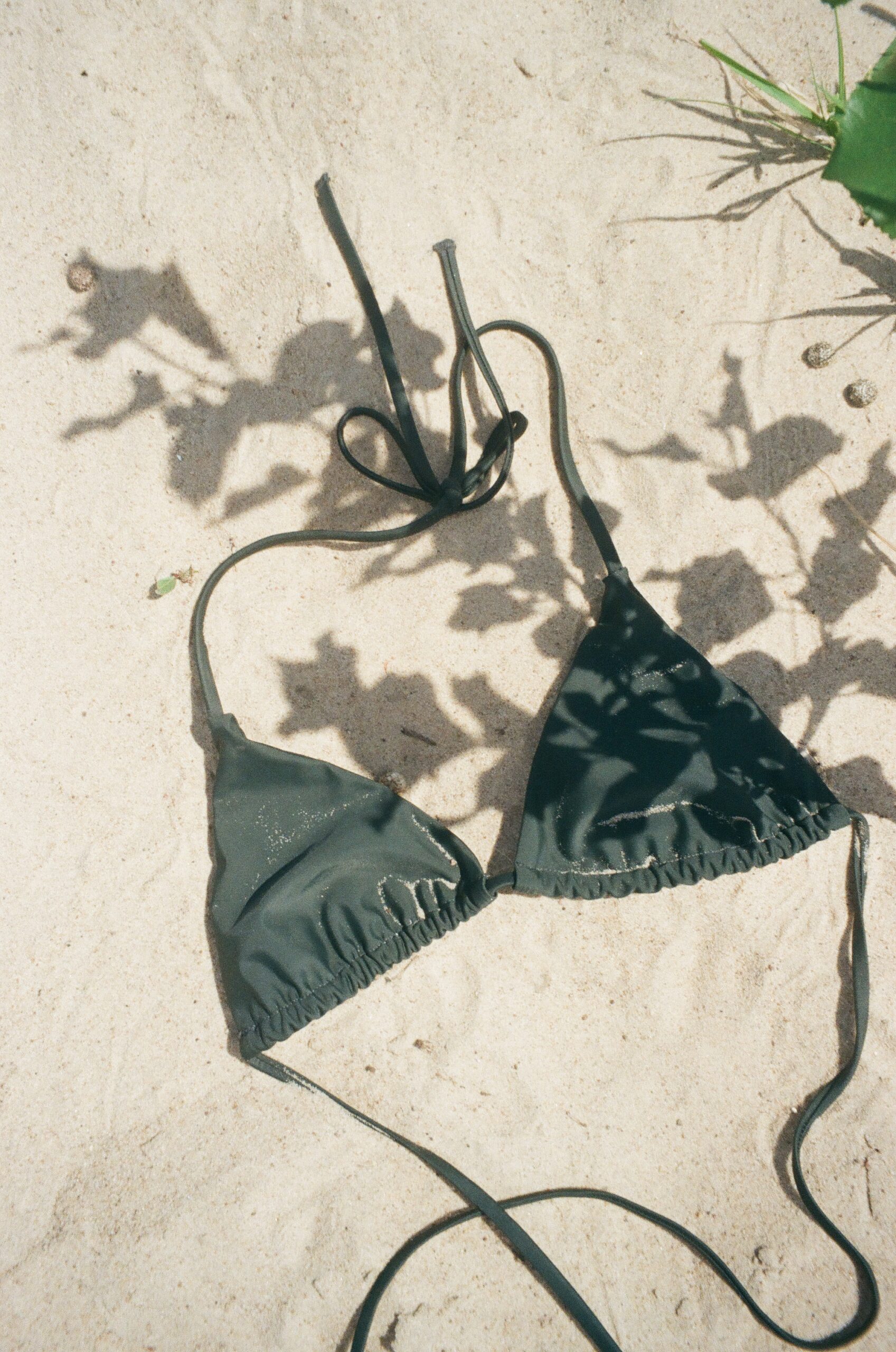 Bodymaps. Bikini Tammi Rainforest2